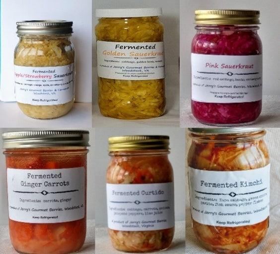 Deluxe Fermented Foods  Starter Kit